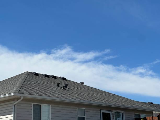 Trusted Old Jamestown, MO Roof Repair & Installaion Experts